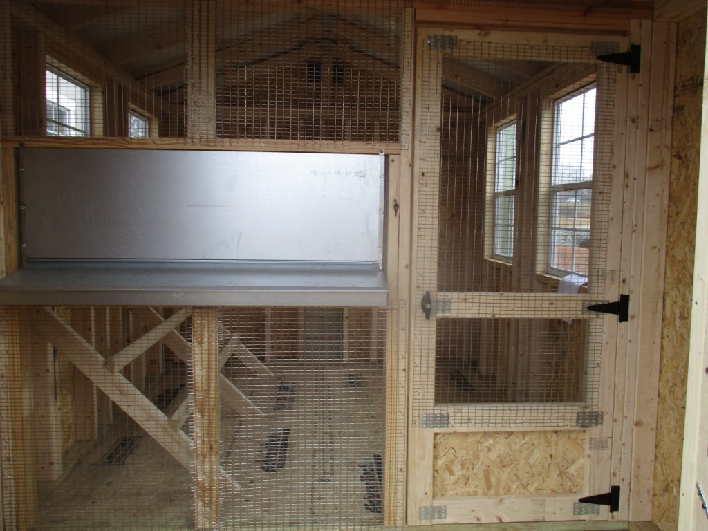 Chicken Coop
