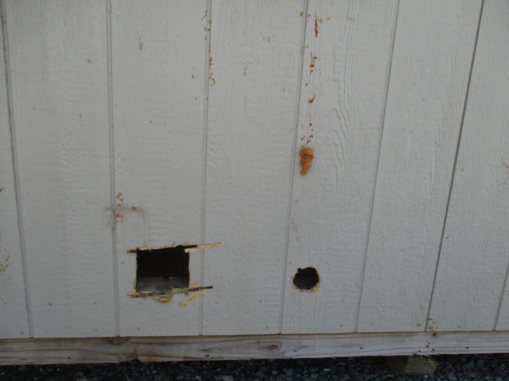 Lofted Barn (Rough Project) USED