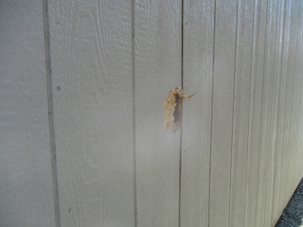 Lofted Barn (Rough Project) USED