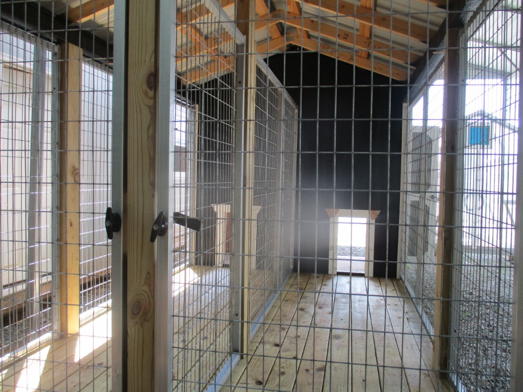 Dog Kennel (USED)