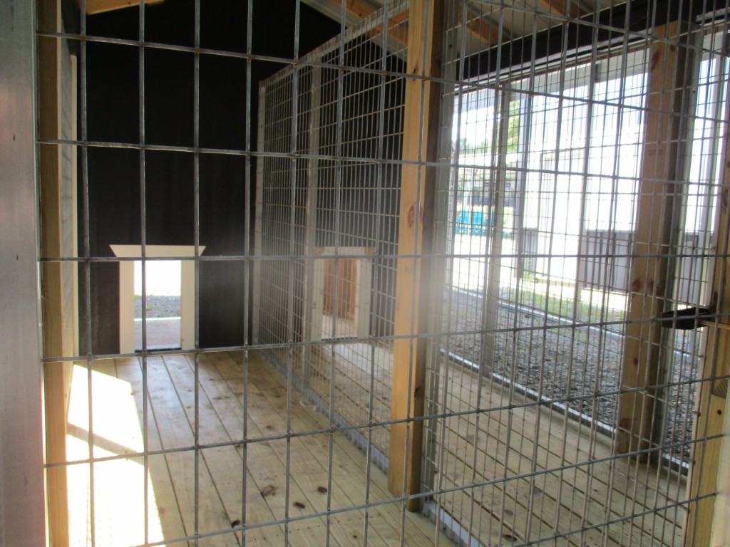 Dog Kennel (USED)