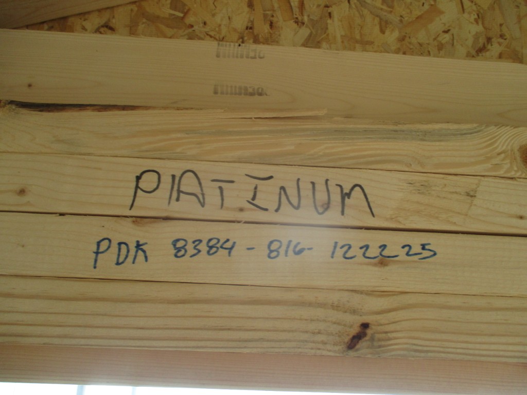 Dog Kennel (USED)